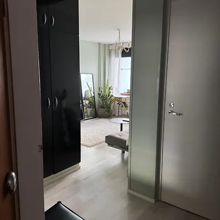 Kauniit Yksioet, 600m Keskustaan, Ilm Parkit Апартаменты