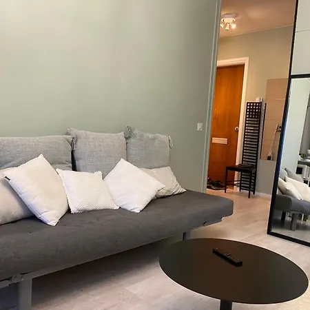 Kauniit Yksioet, 600m Keskustaan, Free Park