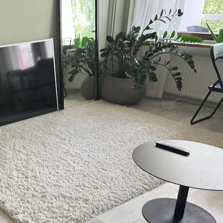 Kauniit Yksioet, 600m Keskustaan, Free Park Lägenhet