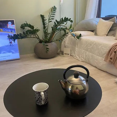 Kauniit Yksioet, 600m Keskustaan, Free Park Apartamento