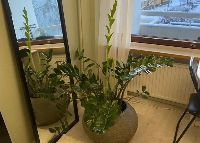 Kauniit Yksioet, 600m Keskustaan, Free Park * Oulu